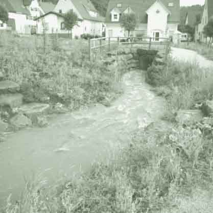 Stauchbach Haiterbach